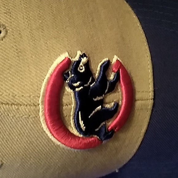 Cap - Picture 6 of 9